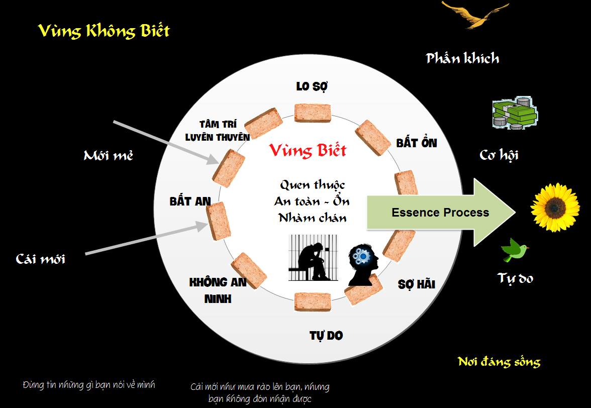 Hanh-trinh-Essence-Process-toi-Vung-Tu-do-31